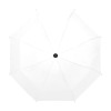 Custom Anti-UV Auto-Foldable Umbrella