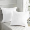 Custom Velvet Pillow Case 18x18inch (2-Pack) |Ship From USA
