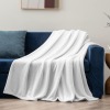 Ultra-Soft Micro Fleece Blanket 60x70inch