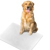 Pet Feeding Mat 60x50cm