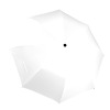 Custom Semi-Automatic Foldable Umbrella
