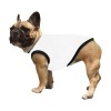 All Over Print Pet Tank Top