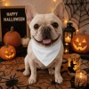 Small Pet Bandana - 55x35cm|Ship From USA