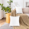 Velvet Pillow Case 18x18inch (Set of 2)Separate customization|Ship From USA