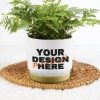 Custom Plant Pot