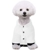 Custom Pet Dog Hoodie