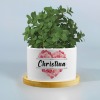 Custom Ceramic Succulent Plant Pot
