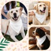 Large Pet Bandana - 80x55cm|Ship From USA