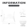 Peach Skin Pillowcase 18"x18" (One Side&Pack of 2)