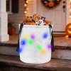 Halloween Multi-Color LED Light-Up Candy Bag|8.46*9.25inch