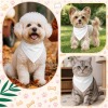 Small Pet Bandana - 55x35cm|Ship From USA