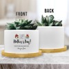 Custom Ceramic Succulent Plant Pot