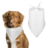 Pet Scarf
