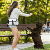 Custom Pet storage waist bag