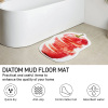 Custom Diatom Mud Floor Mat
