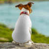 Custom Pet Vest