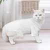 Custom Pet Lapel Short Sleeve Button Shirt For Dogs And Cats
