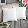 Custom Velvet Pillow Case 18x18inch (2-Pack) |Ship From USA
