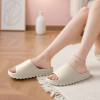 Custom Unisex Thick Platform Open Toe Slide Casual Slippers