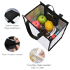 Foldable Insulated Bag